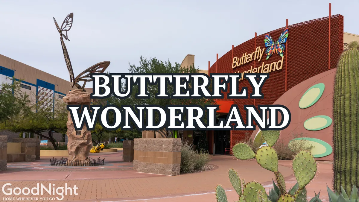The entrance to Butterfly Wonderland, featuring a whimsical butterfly sculpture, clear signage, and desert landscaping with cacti. Visitors are seen approaching the entrance, hinting at the interactive and educational exhibits inside.