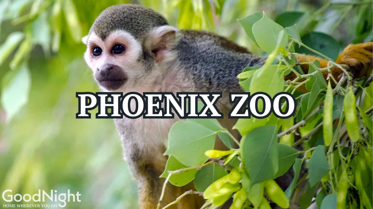 A close-up of a squirrel monkey perched in lush greenery, evoking the wonder of wildlife encounters. The scene is playful and curious, ideal for families and young animal lovers interested in educational outings.