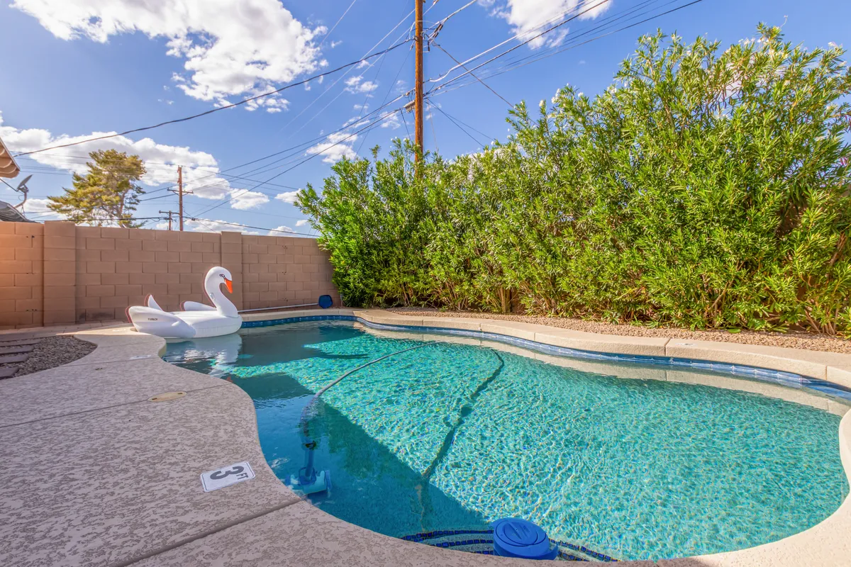 A sparkling swimming pool framed by lush greenery and a playful swan float, creating a fun and resort-like setting. The pool area is inviting for both kids and adults, suggesting relaxation, play, and social time under the Arizona sun.